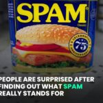 (VIDEO)People are surprised after finding out what SPAM really stands for