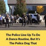 (VIDEO)It Was A Simple Police Lineup Until The Dog Stole The Show