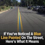 Blue line painted on the street, Here’s what it signifies…