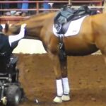 (VIDEO)Horse Approaches Disabled Woman – Suddenly, The Crowd Falls Silent