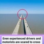 Even experienced drivers and motorists are scared to cross this bridge