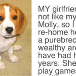 Girlfriend Gives Partner An Ultimatum, Demands Either The Dog Goes Or She Goes