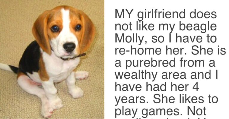 Girlfriend Gives Partner An Ultimatum, Demands Either The Dog Goes Or She Goes