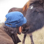 (VIDEO)A man frees a chained wild horse, but has no clue of the type of ‘thank you’ he’ll get!