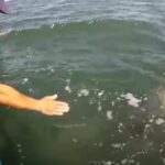 (VIDEO)He gently stretched his hands toward the water…What was coming from the deep? OMG!