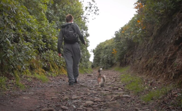 (VIDEO)He Hasn’t Seen A Human Face In Years. But Watch When The Man Turns Around …AMAZING!