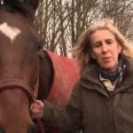 (VIDEO)Best Friends When They Were Babies, What Happens When These Horses Reunite Is Heart-Melting