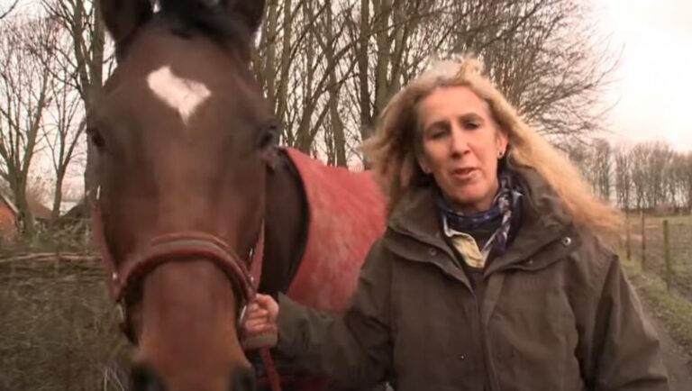 (VIDEO)Best Friends When They Were Babies, What Happens When These Horses Reunite Is Heart-Melting