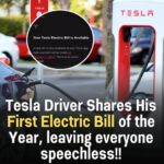 Tesla driver shares their first electric bill in 12 months and people are left shocked by the fee