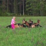 (VIDEO)5-Year-Old Plays With 14 Beautiful Dogs. Now Watch When She Lifts Her Arms Up! WHOA!