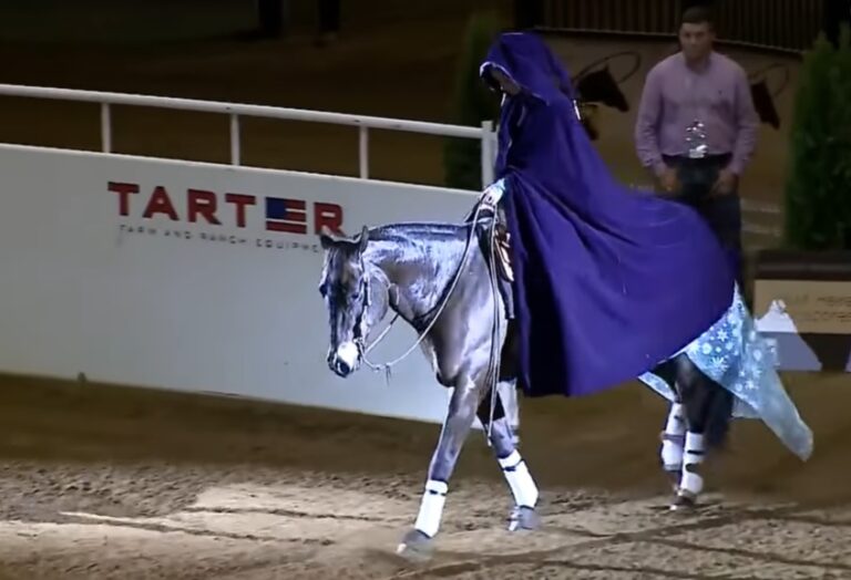 (VIDEO)She rides up on a horse, then she removes her cape and STUNS everyone