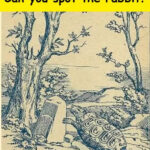 Only the sharpest eyes can spot the rabbit hidden on the shore in 6 seconds!