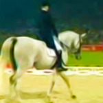 (VIDEO)She Looked Like a Regular Horse. But Watch Her Legs When The Music Starts! I’m Stunned!