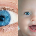 All Blue-Eyed People Have This One Thing In Common