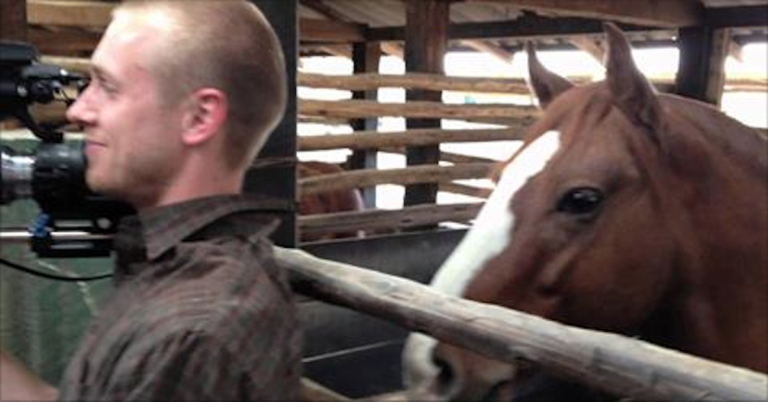 (VIDEO)Man Tries Not To Laugh While Filming, Horse’s Next Move Has People Crying With Laughter