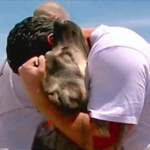 (VIDEO)Soldier is forced to leave street dog he rescued in Iraq. 1 mth later, they reunite on the other side of Earth