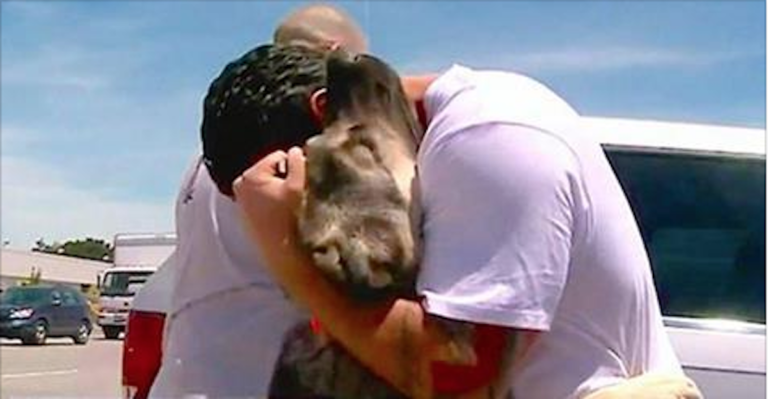 (VIDEO)Soldier is forced to leave street dog he rescued in Iraq. 1 mth later, they reunite on the other side of Earth