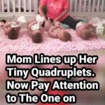 (VIDEO)Mom Lines up Her Tiny Quadruplets. Now Pay Attention to The One on The Far Left