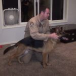 (VIDEO)They tell the German Shepherd to turn around, he has no idea his soldier father is home from deployment