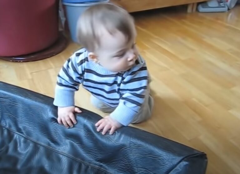 (VIDEO)Little Boy Tries To Climb Into The Dog’s Bed. But Pay Attention To What The Dog Does…