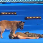 (VIDEO)Woman Falls To The Ground During Competition. Dog’s Next Move Is Putting Tears In Everyone’s Eyes