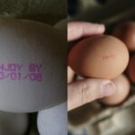 Pay attention to this date from now on. It’s not an ordinary expiration date. After working for years and years in grocery stores, I see that most people just randomly buy eggs without really noticing this detail