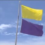 The Meaning of a Purple Flag at the Beach