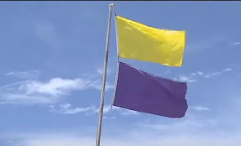 The Meaning of a Purple Flag at the Beach