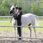 (VIDEO)He Takes Off His Reins And Sets Him Free. Now Keep Your Eyes On The PERFECT Horse…