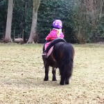 (VIDEO)Mom Films 3-Year-Old Sitting On A Horse, But When They Turn Around, I Never Expected THIS!