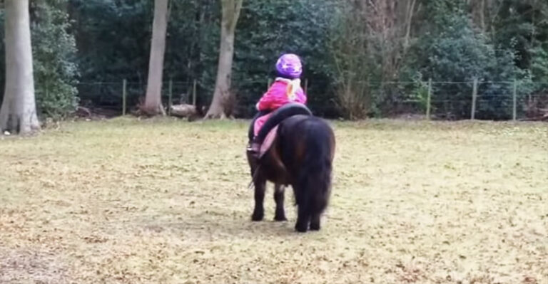 (VIDEO)Mom Films 3-Year-Old Sitting On A Horse, But When They Turn Around, I Never Expected THIS!