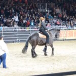 (VIDEO)This Horse Hears His Favorite Song, He Nods To His Owner, Then They Stun Everyone