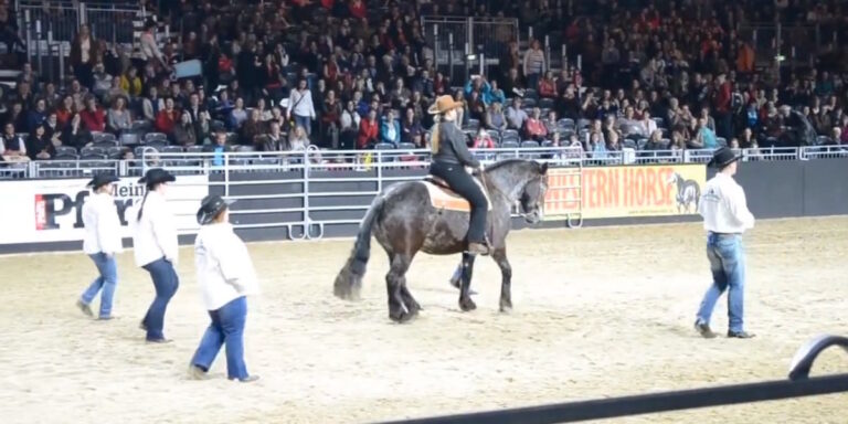 (VIDEO)This Horse Hears His Favorite Song, He Nods To His Owner, Then They Stun Everyone