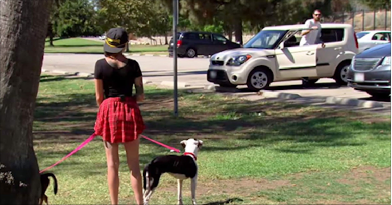 (VIDEO)She takes two heartbroken dogs to the park. But when they see the man in white, everything changes…