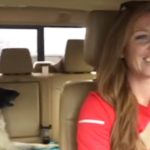 (VIDEO)German Shepherd is Asleep On the Back Seat, Then Her Favorite Song Comes On and She Joins In!