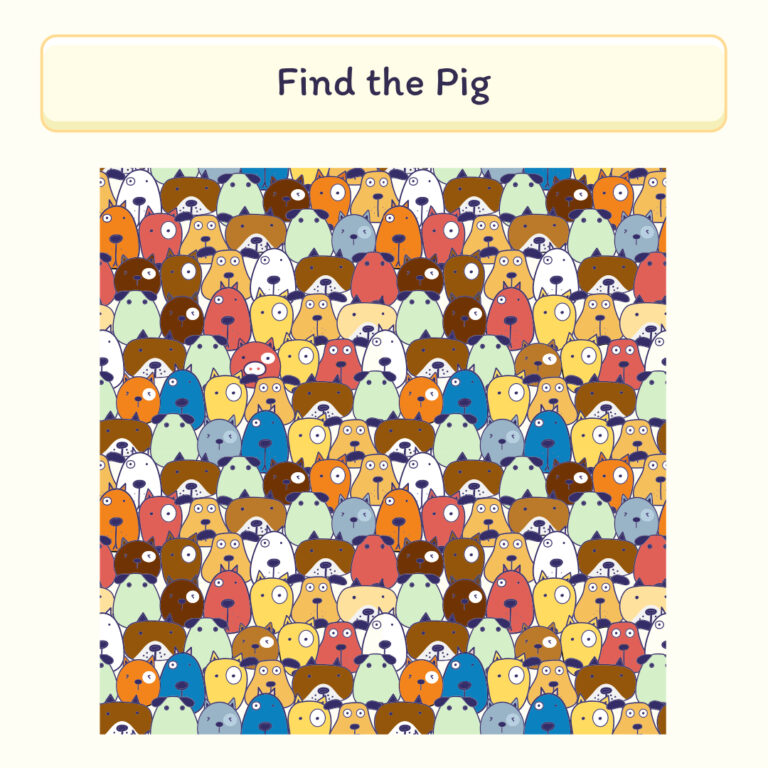 Brain teaser challenge : Find the pig