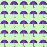 Visual Skill Test: Find the different umbrella in the picture in 3 seconds!