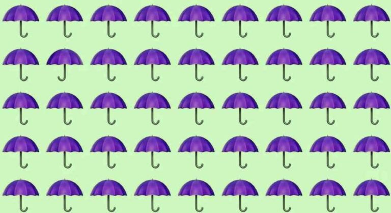 Visual Skill Test: Find the different umbrella in the picture in 3 seconds!