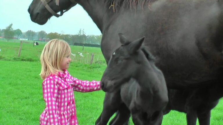 (VIDEO)This Beautiful Horse Gave Birth To Rare Twin Foals. When THIS Happened 4 Days Later? WOW!