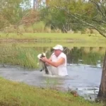 (VIDEO)Alligator snatches puppy but quickly learns he messed with the wrong dad