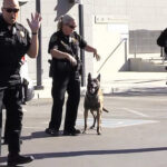 (VIDEO)Police dog’s dance-off video is full of fun and laughter