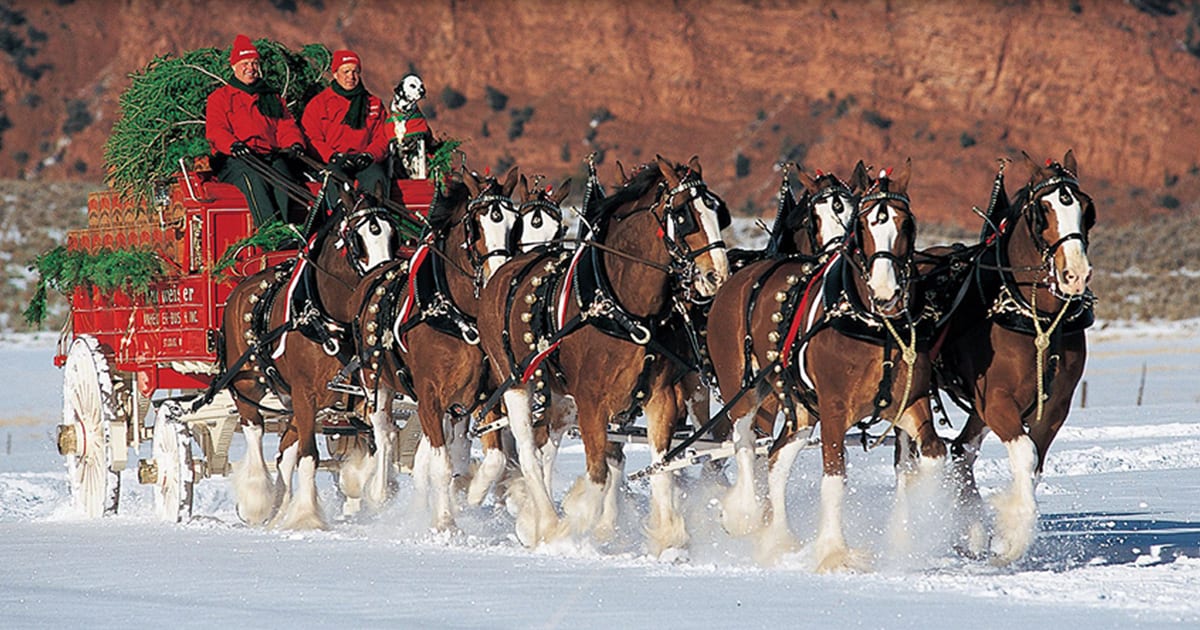 (VIDEO)This Budweiser Christmas Commercial From 1987 Will Bring Back Memories And Leave You Smiling