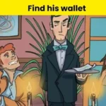 Attention-Testing IQ Challenge: Spot the Man’s Lost Wallet in Just 11 Seconds – Only 1% Succeed!