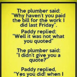 Paddy and a plumber