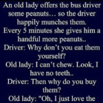 Old lady and a bus driver