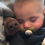 (VIDEO)Mom’s Filming The Baby Taking A Nap When A Nose Pokes Through Beside Him