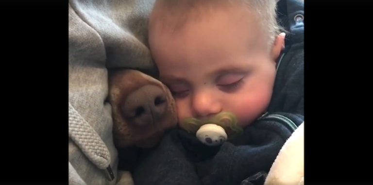 (VIDEO)Mom’s Filming The Baby Taking A Nap When A Nose Pokes Through Beside Him