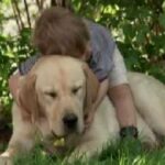 (VIDEO)Little Boy Crawls On Top Of This Big Dog – But It Was The Dog’s Response That Had Me Awestruck…