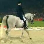 (VIDEO)She Looked Like A Regular Horse. But Watch Her Legs When Music Starts… I’m Stunned…