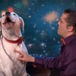 (VIDEO)This Dog Sings Whitney Houston’s ‘I Will Always Love You’ And Blows The Judges Away